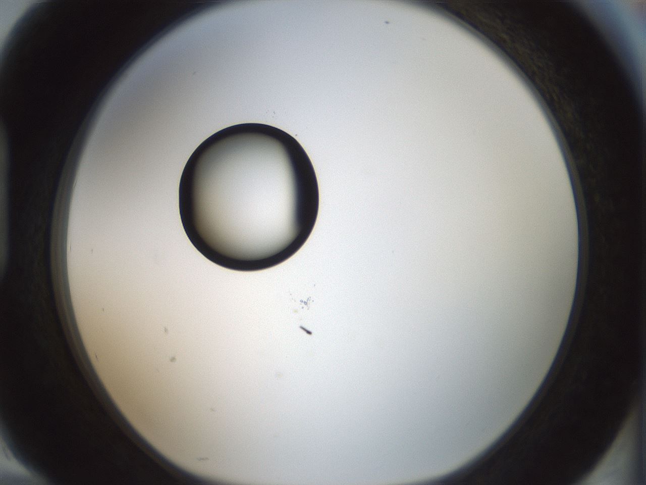 folderID409_plateID1409_batchID5184_wellNum94_profileID1_d1_r86511_ef.jpg