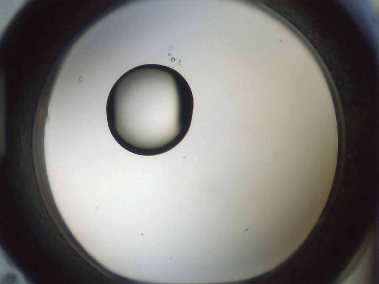 folderID409_plateID1409_batchID5184_wellNum95_profileID1_d1_r86512_ef.jpg