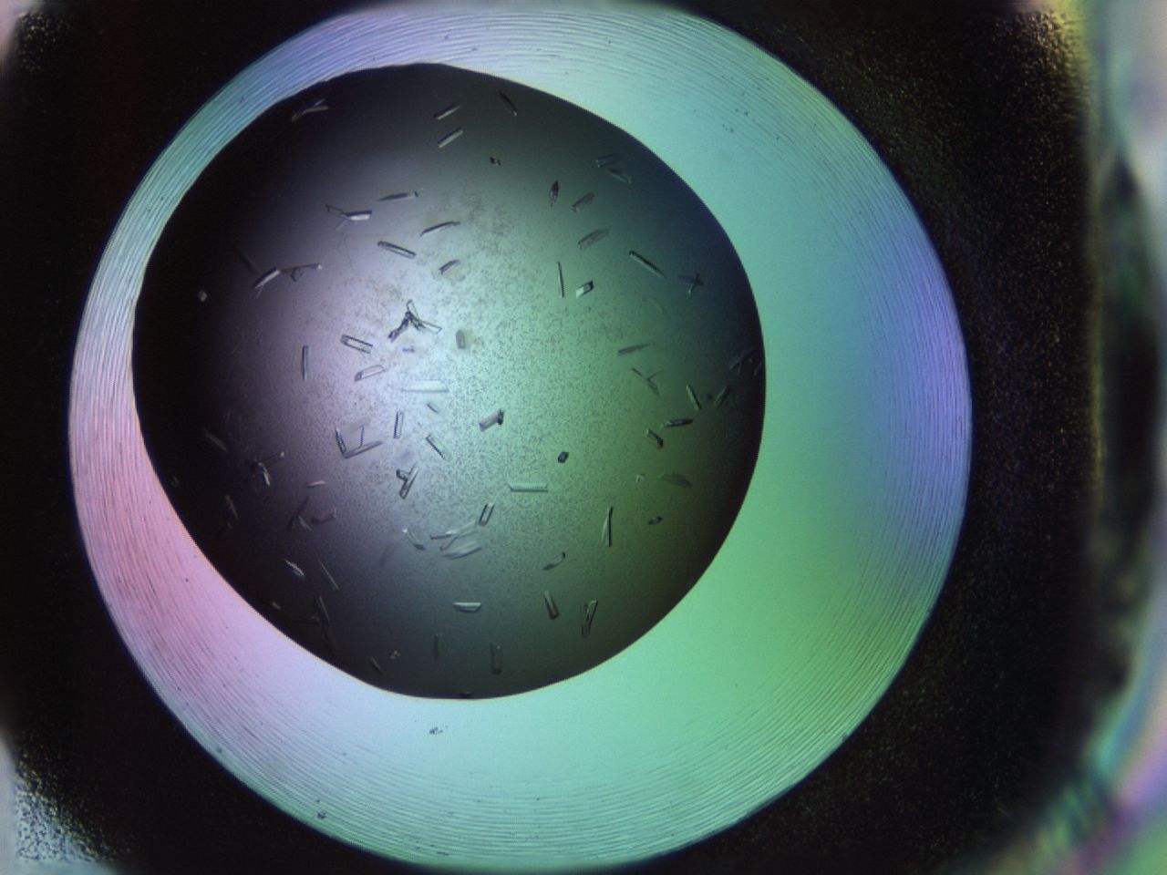 02kw_H2_ImagerDefaults_9.jpg