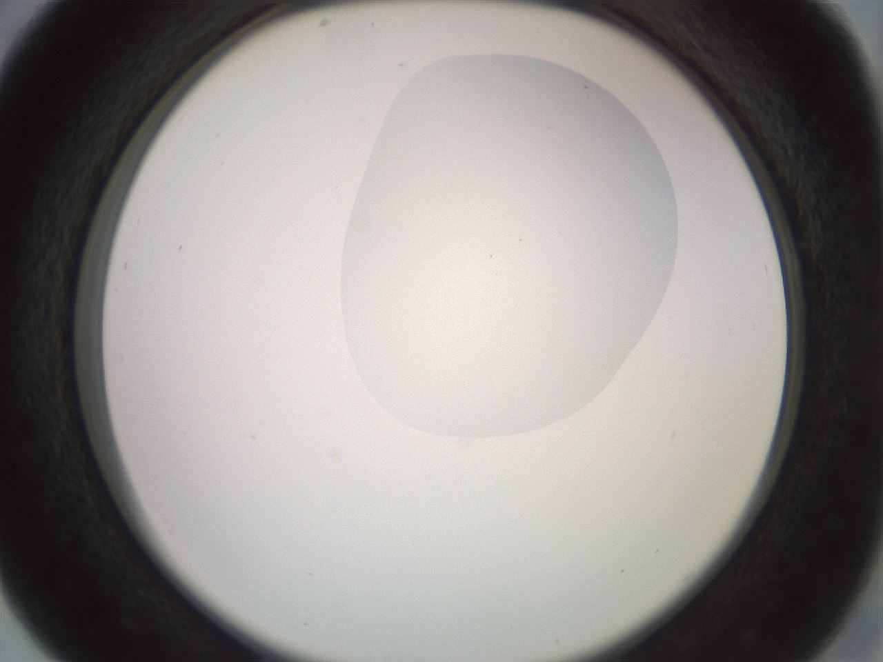 folderID409_plateID2409_batchID11614_wellNum29_profileID1_d2_r178396_ef.jpg