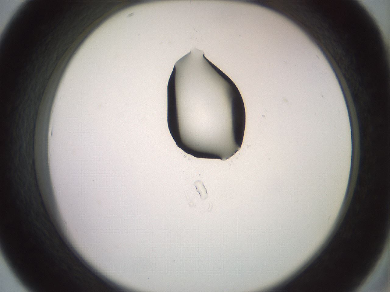 folderID409_plateID2409_batchID11614_wellNum43_profileID1_d2_r178424_ef.jpg