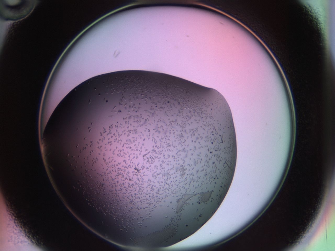 02kw_B10_ImagerDefaults_9.jpg