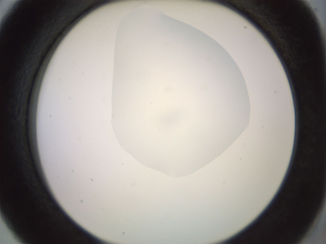 folderID409_plateID2409_batchID11614_wellNum5_profileID1_d2_r178348_ef.jpg