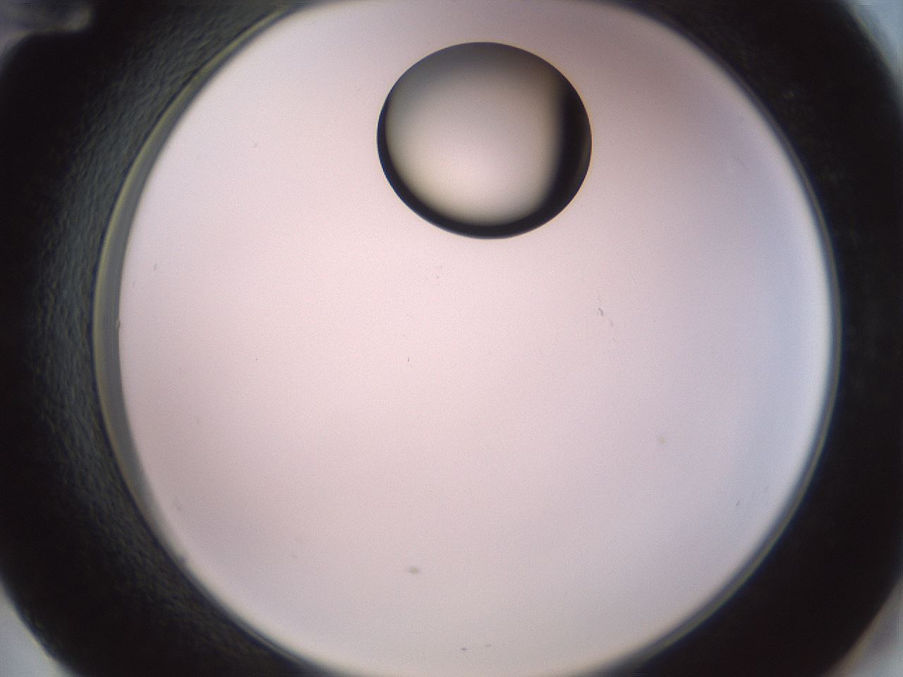 folderID409_plateID2409_batchID11614_wellNum60_profileID1_d2_r178458_ef.jpg