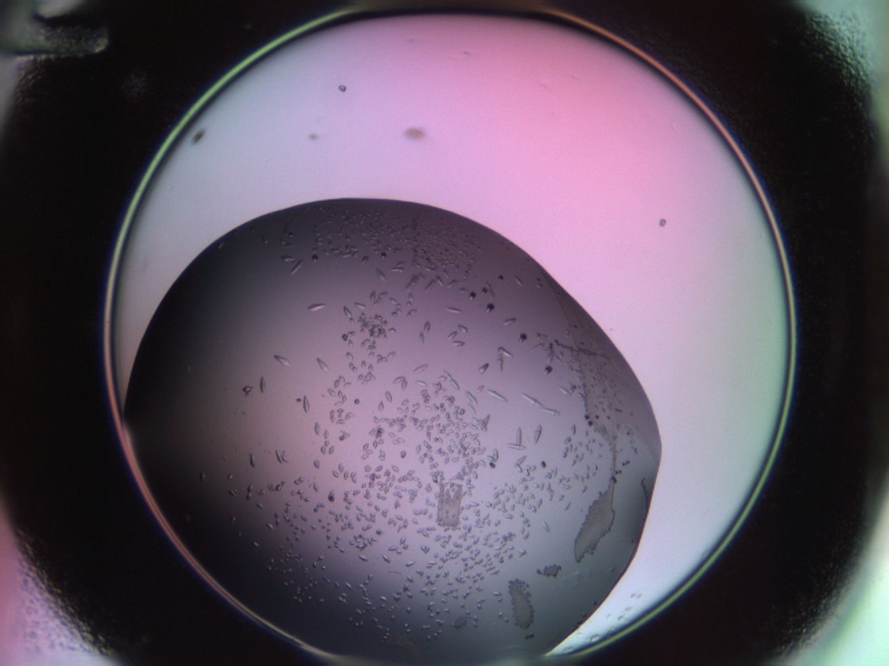 02kw_A12_ImagerDefaults_9.jpg