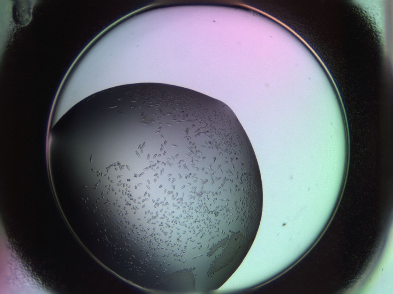 02kw_A11_ImagerDefaults_9.jpg