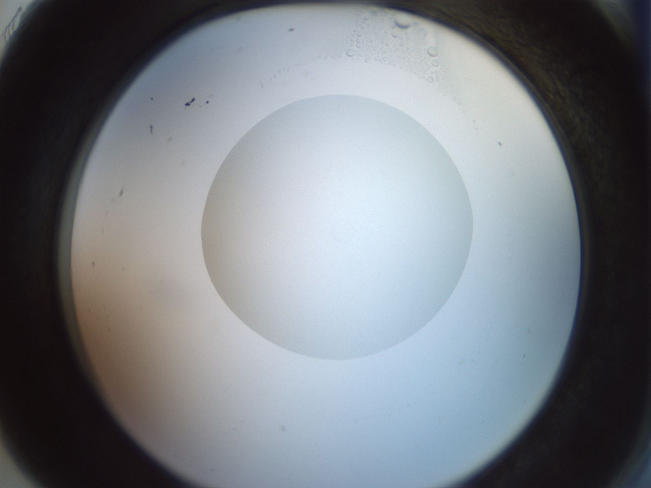 folderID409_plateID2409_batchID11614_wellNum91_profileID1_d2_r178520_ef.jpg