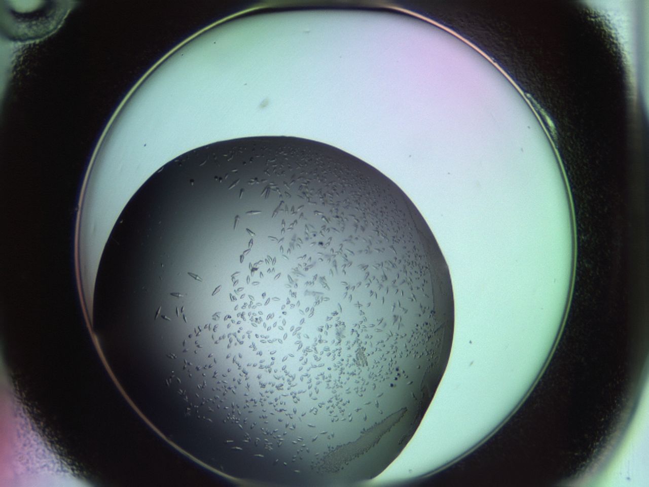 02kw_A10_ImagerDefaults_9.jpg
