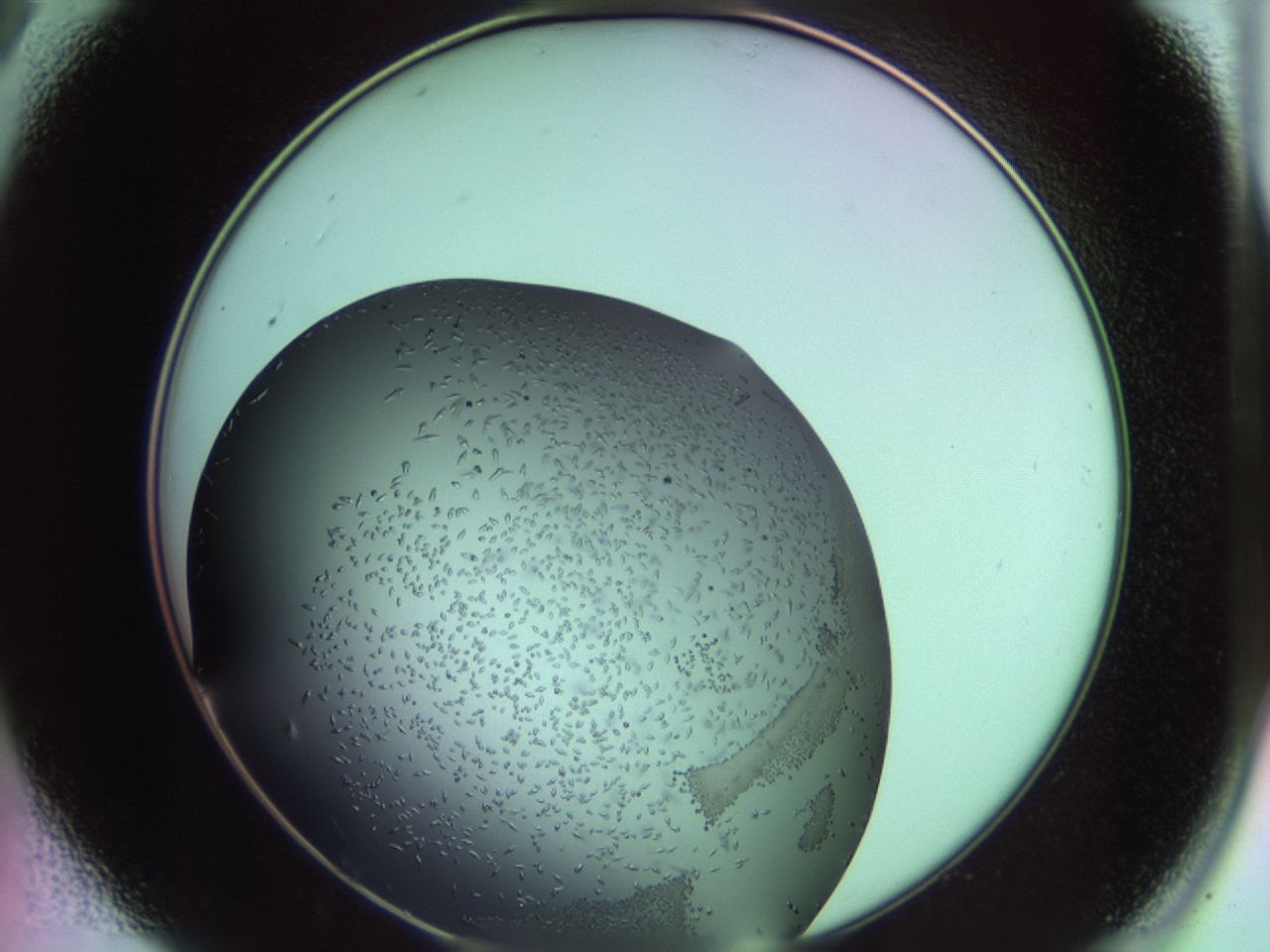 02kw_A9_ImagerDefaults_9.jpg