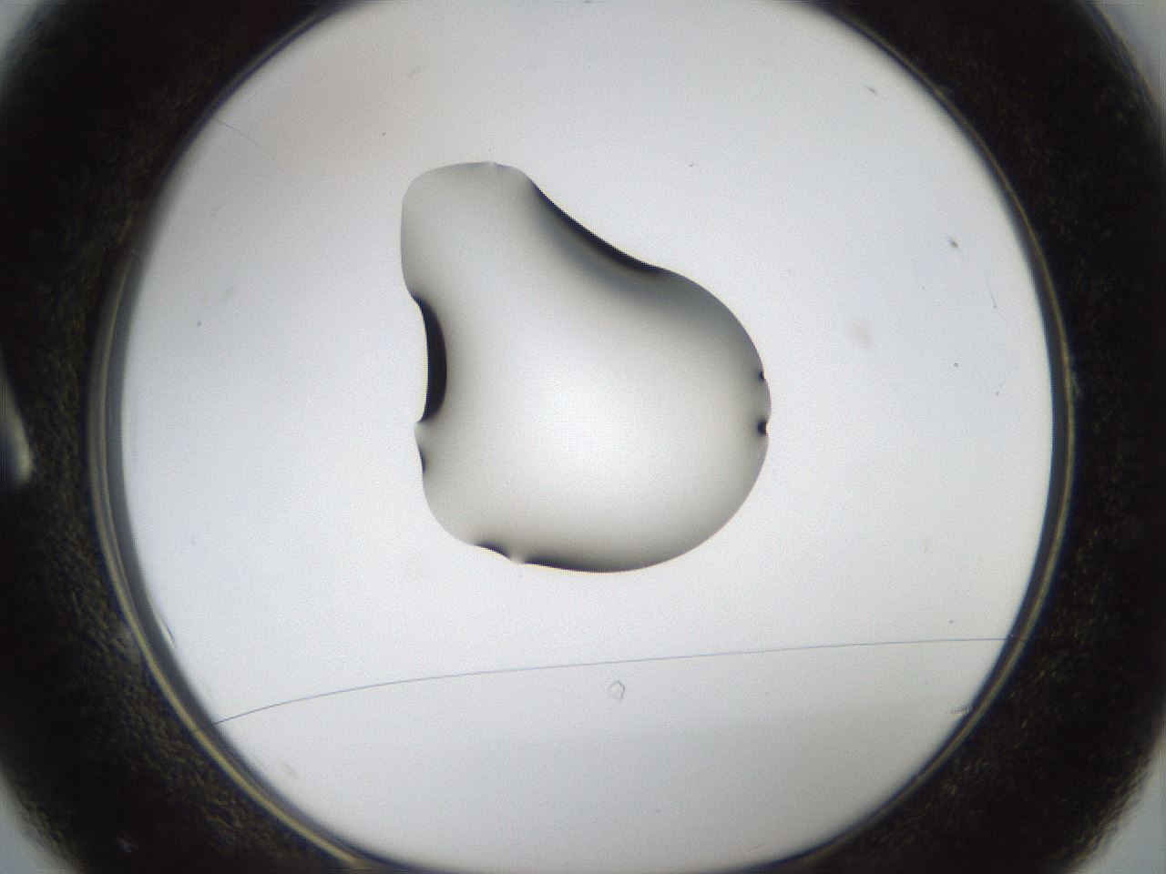 folderID40_plateID1040_batchID2096_wellNum1_profileID1_d1_r45576_ef.jpg
