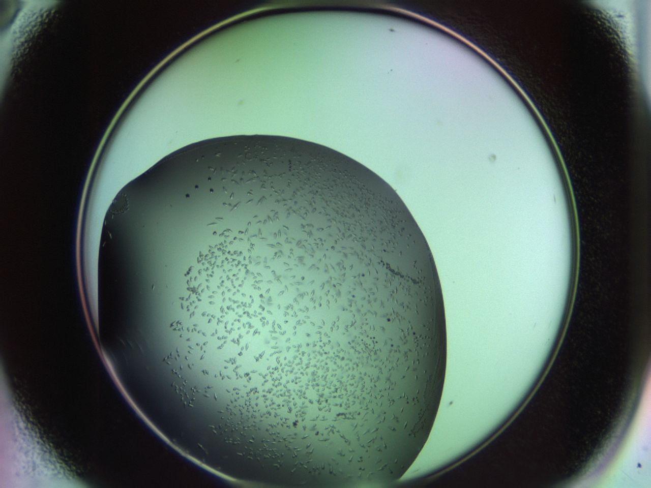 02kw_A8_ImagerDefaults_9.jpg
