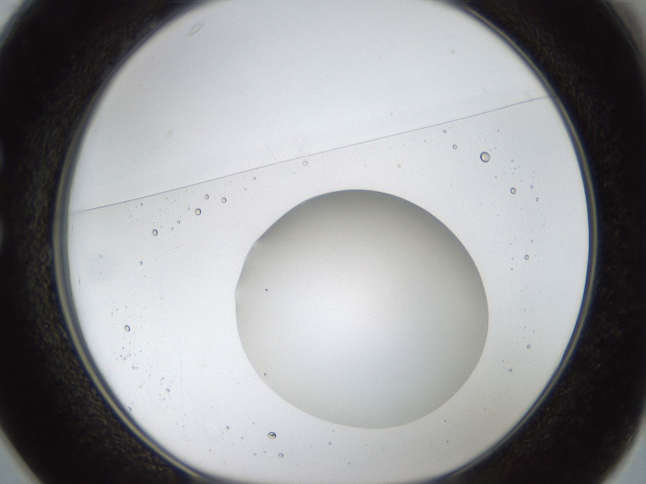 folderID40_plateID1040_batchID2096_wellNum25_profileID1_d1_r45624_ef.jpg