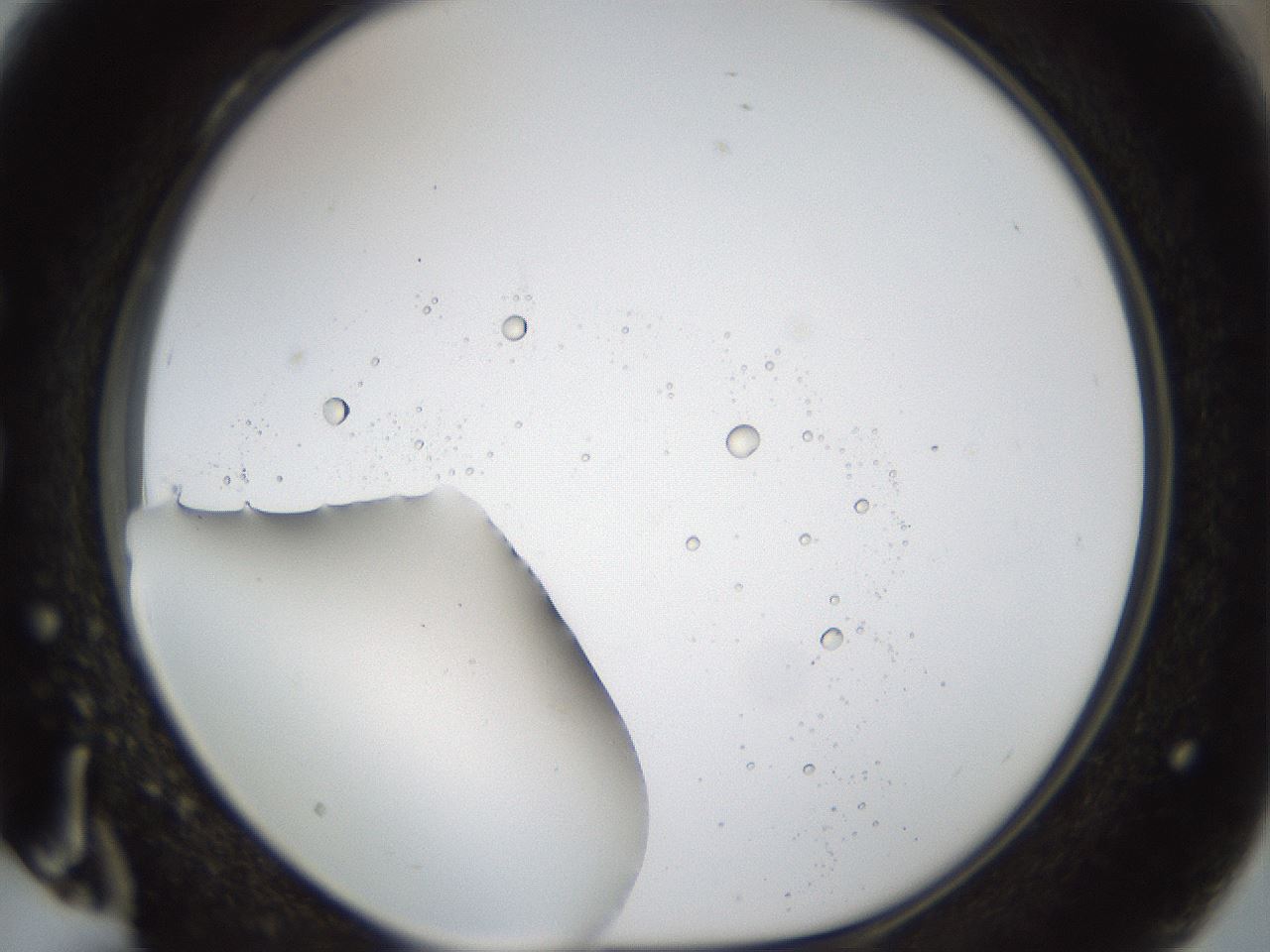 folderID40_plateID1040_batchID2096_wellNum28_profileID1_d1_r45630_ef.jpg
