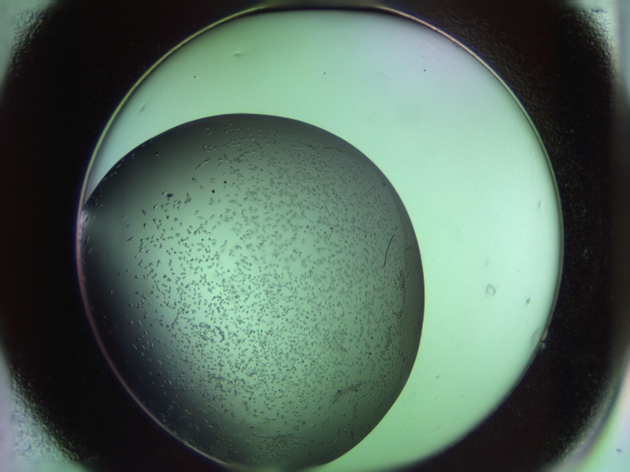 02kw_A7_ImagerDefaults_9.jpg