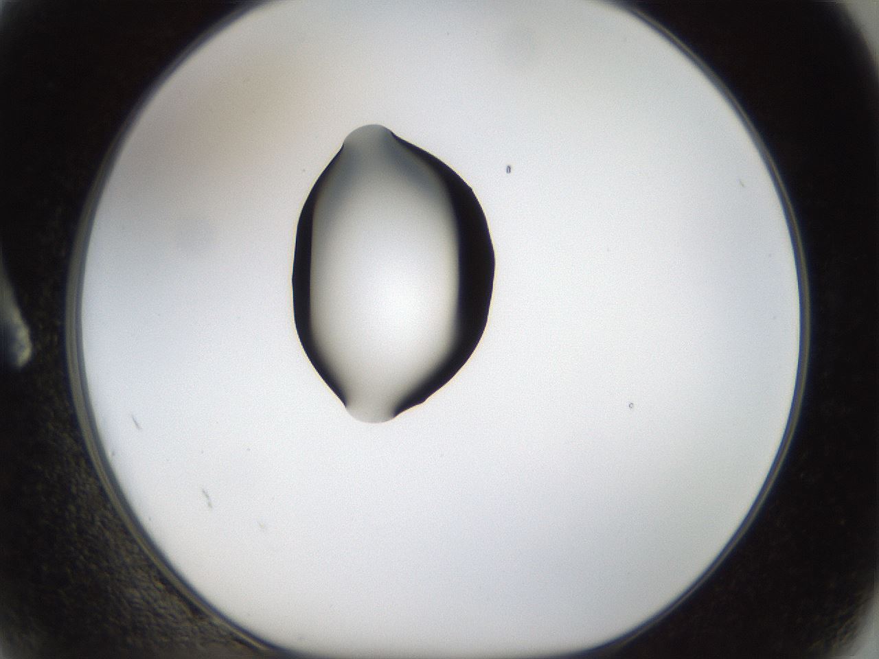 folderID40_plateID1040_batchID2096_wellNum2_profileID1_d1_r45578_ef.jpg