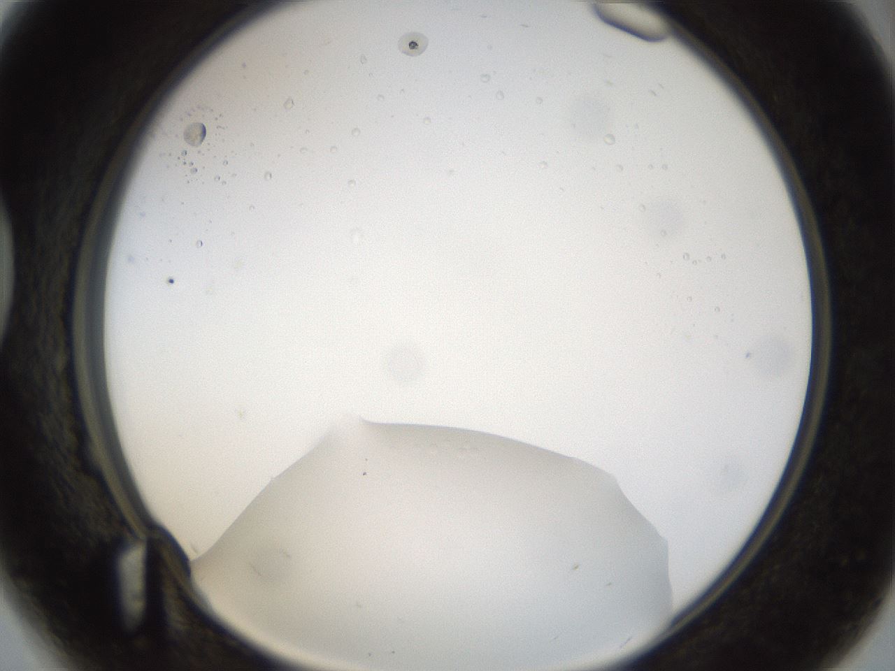 folderID40_plateID1040_batchID2096_wellNum41_profileID1_d1_r45656_ef.jpg