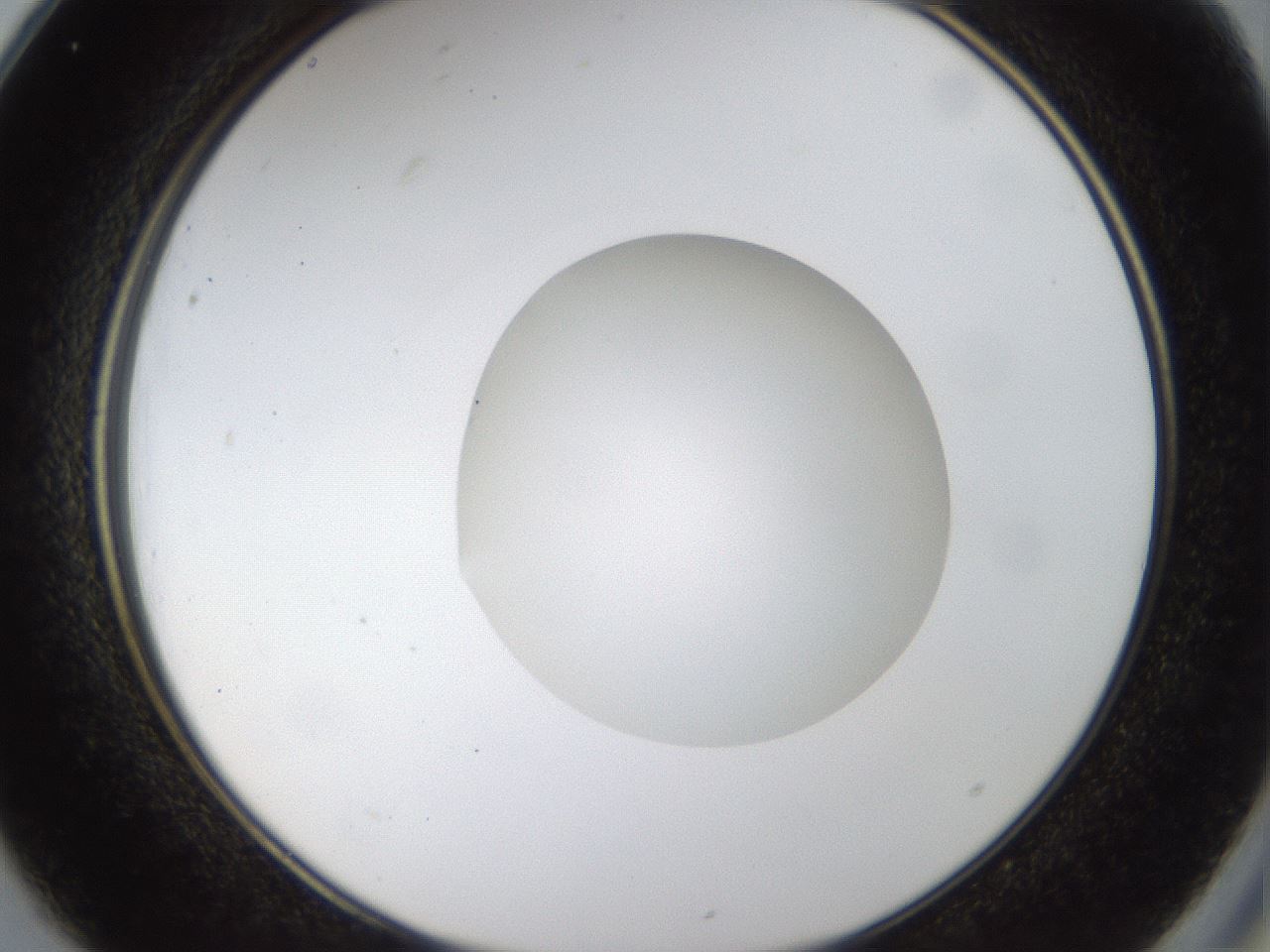 folderID40_plateID1040_batchID2096_wellNum25_profileID1_d2_r45625_ef.jpg