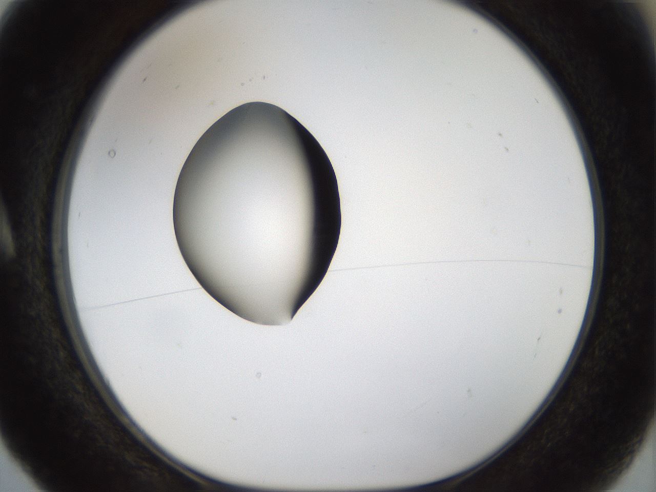 folderID40_plateID1040_batchID2096_wellNum5_profileID1_d1_r45584_ef.jpg