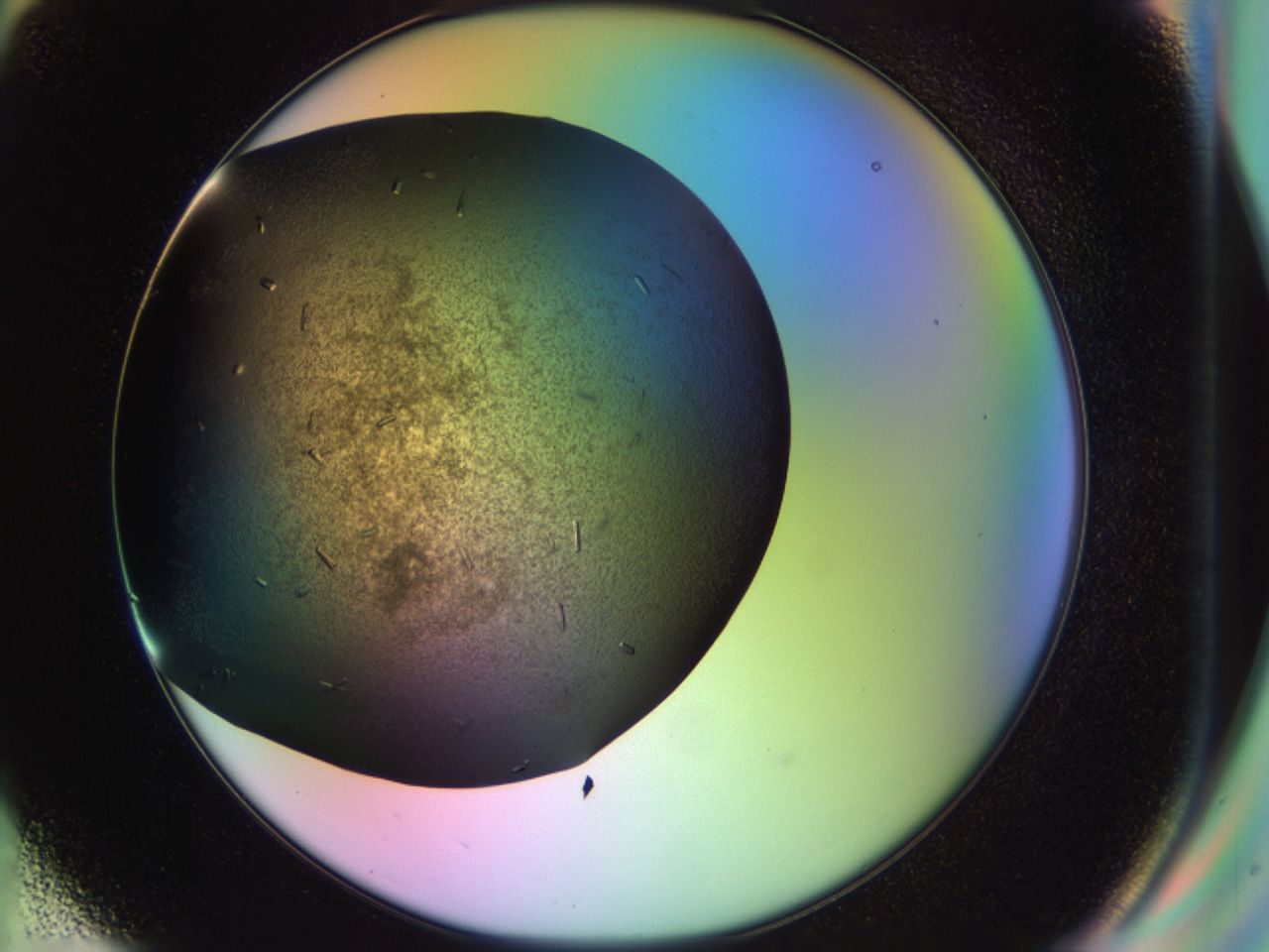 02kw_G6_ImagerDefaults_9.jpg