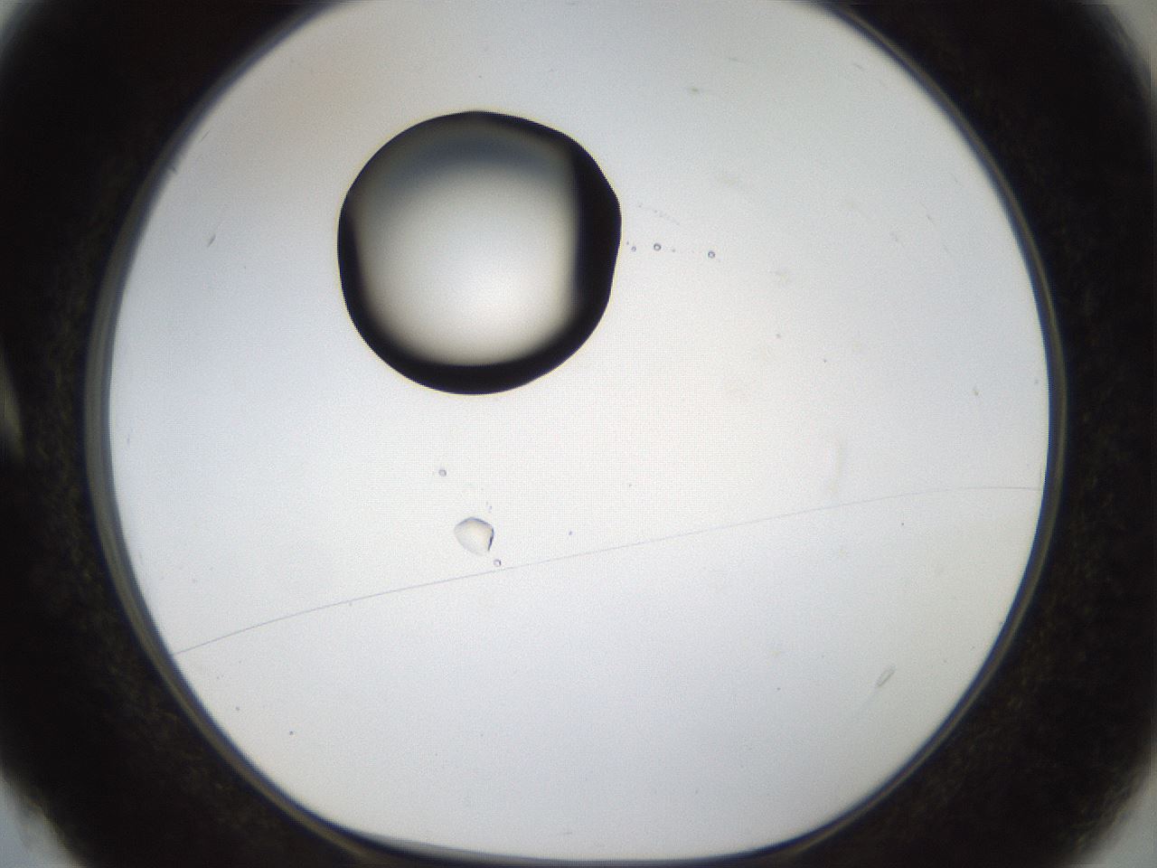 folderID40_plateID1040_batchID2096_wellNum4_profileID1_d1_r45582_ef.jpg