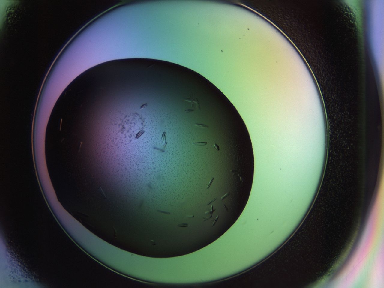 02kw_E1_ImagerDefaults_9.jpg
