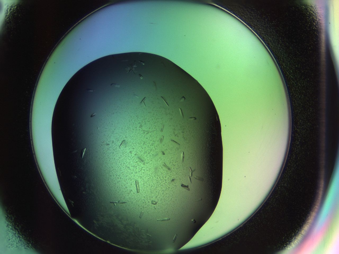 02kw_E2_ImagerDefaults_9.jpg