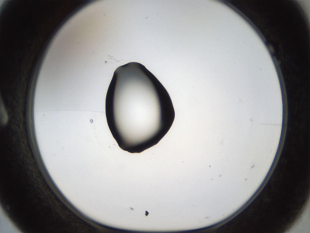 folderID40_plateID1040_batchID2096_wellNum7_profileID1_d1_r45588_ef.jpg