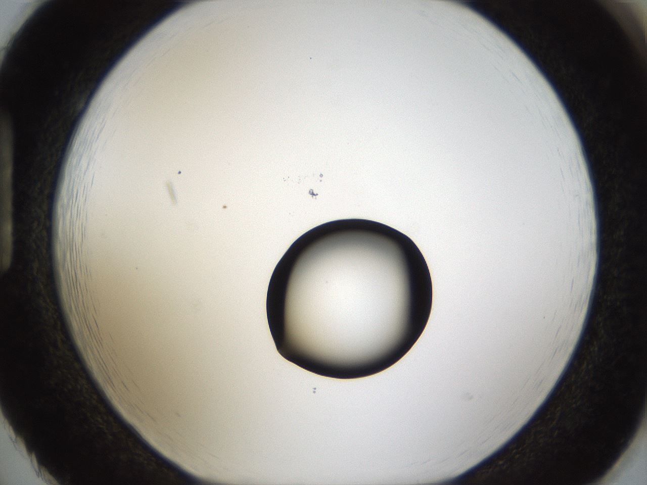 folderID40_plateID1040_batchID2096_wellNum86_profileID1_d1_r45746_ef.jpg