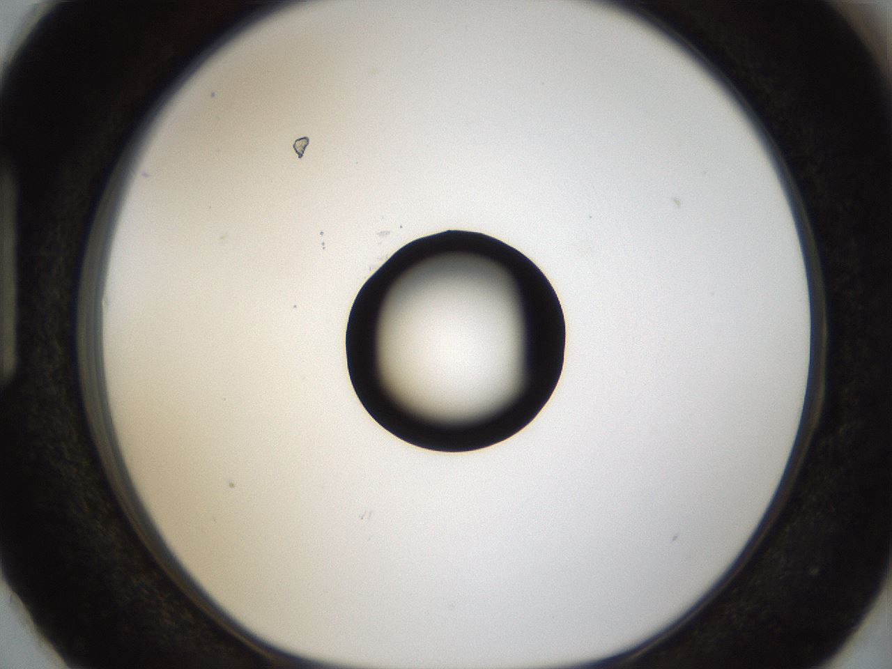 folderID40_plateID1040_batchID2096_wellNum87_profileID1_d1_r45748_ef.jpg