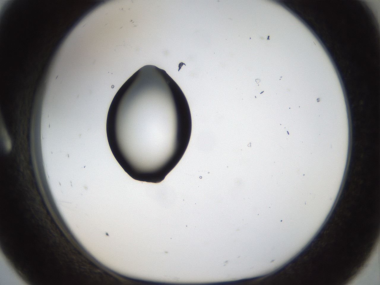 folderID40_plateID1040_batchID2096_wellNum8_profileID1_d1_r45590_ef.jpg