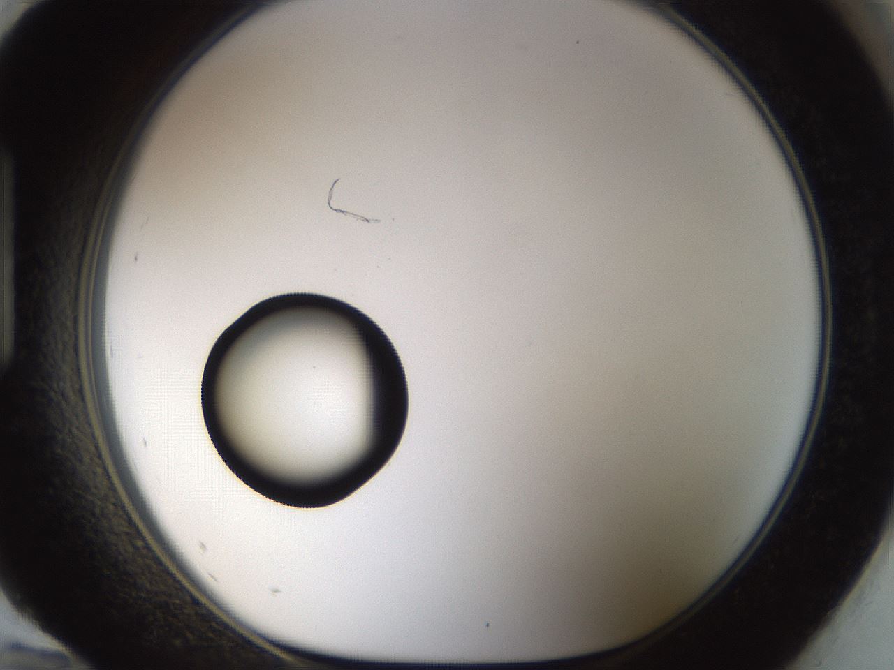 folderID40_plateID1040_batchID2096_wellNum96_profileID1_d1_r45766_ef.jpg