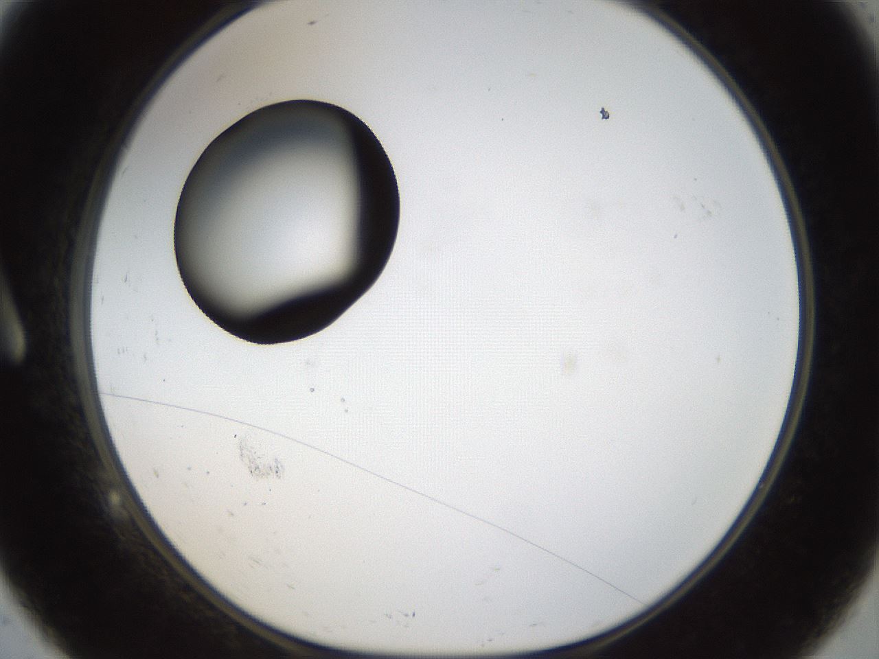 folderID40_plateID1040_batchID2096_wellNum9_profileID1_d1_r45592_ef.jpg