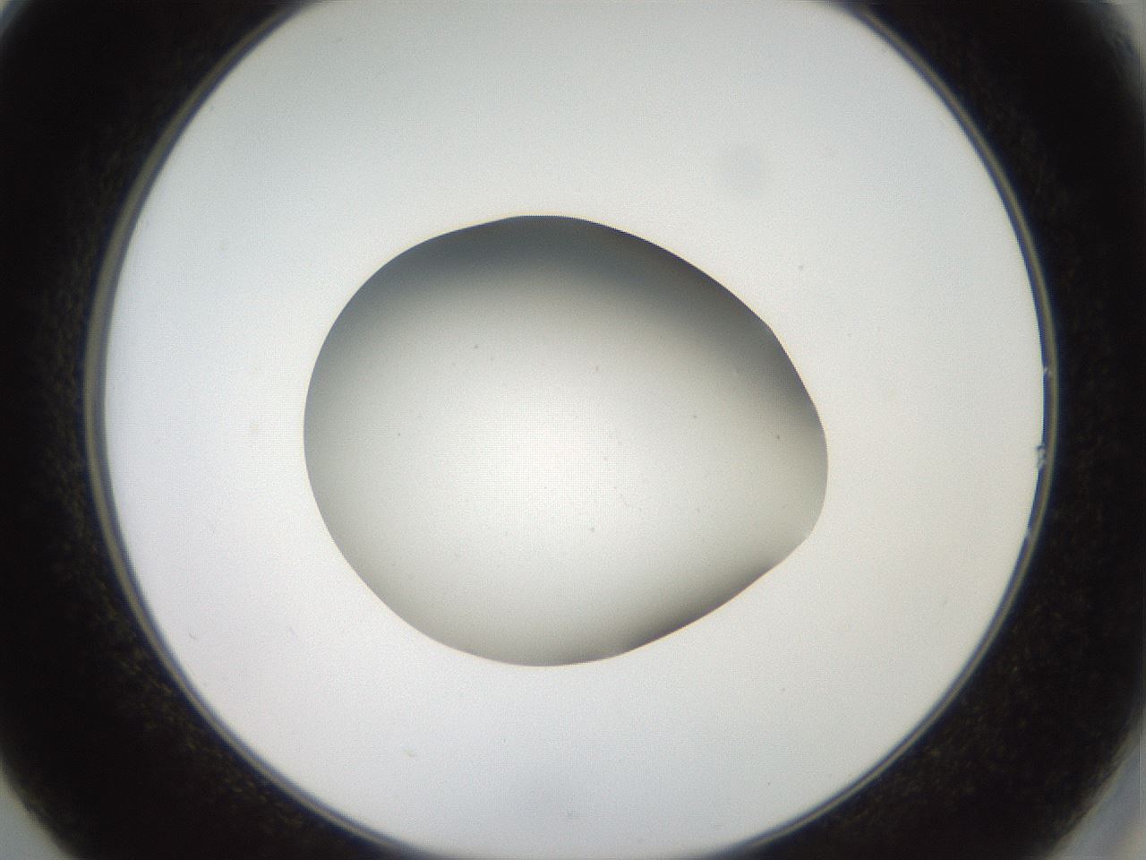 folderID40_plateID2040_batchID8993_wellNum14_profileID1_d2_r137490_ef.jpg