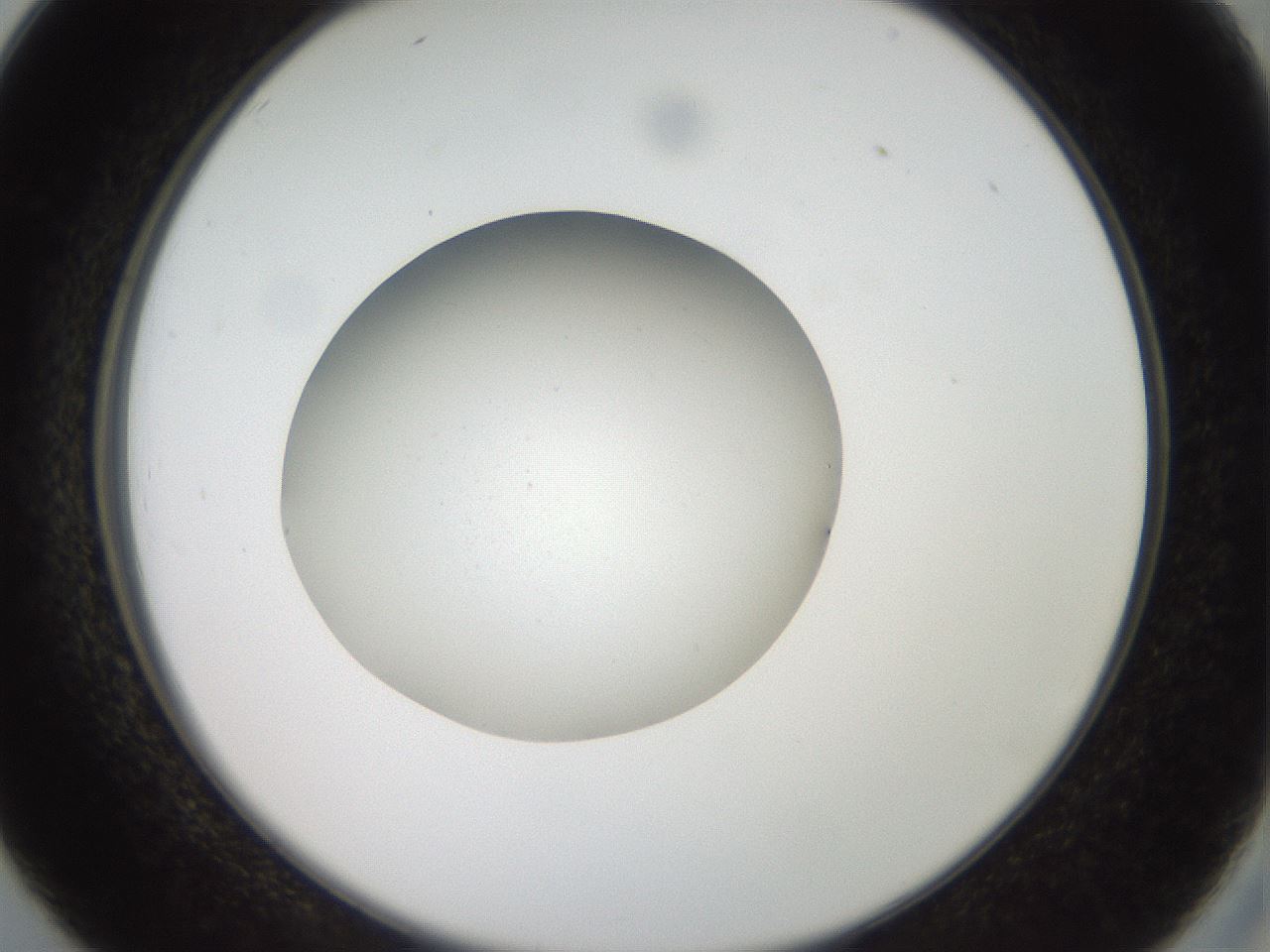 folderID40_plateID2040_batchID8993_wellNum26_profileID1_d2_r137514_ef.jpg