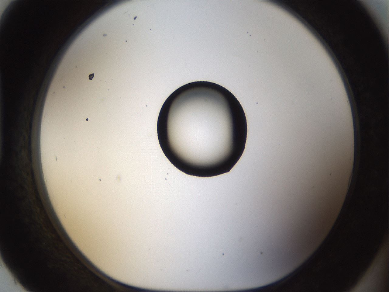 folderID40_plateID1040_batchID2096_wellNum93_profileID1_d1_r45760_ef.jpg