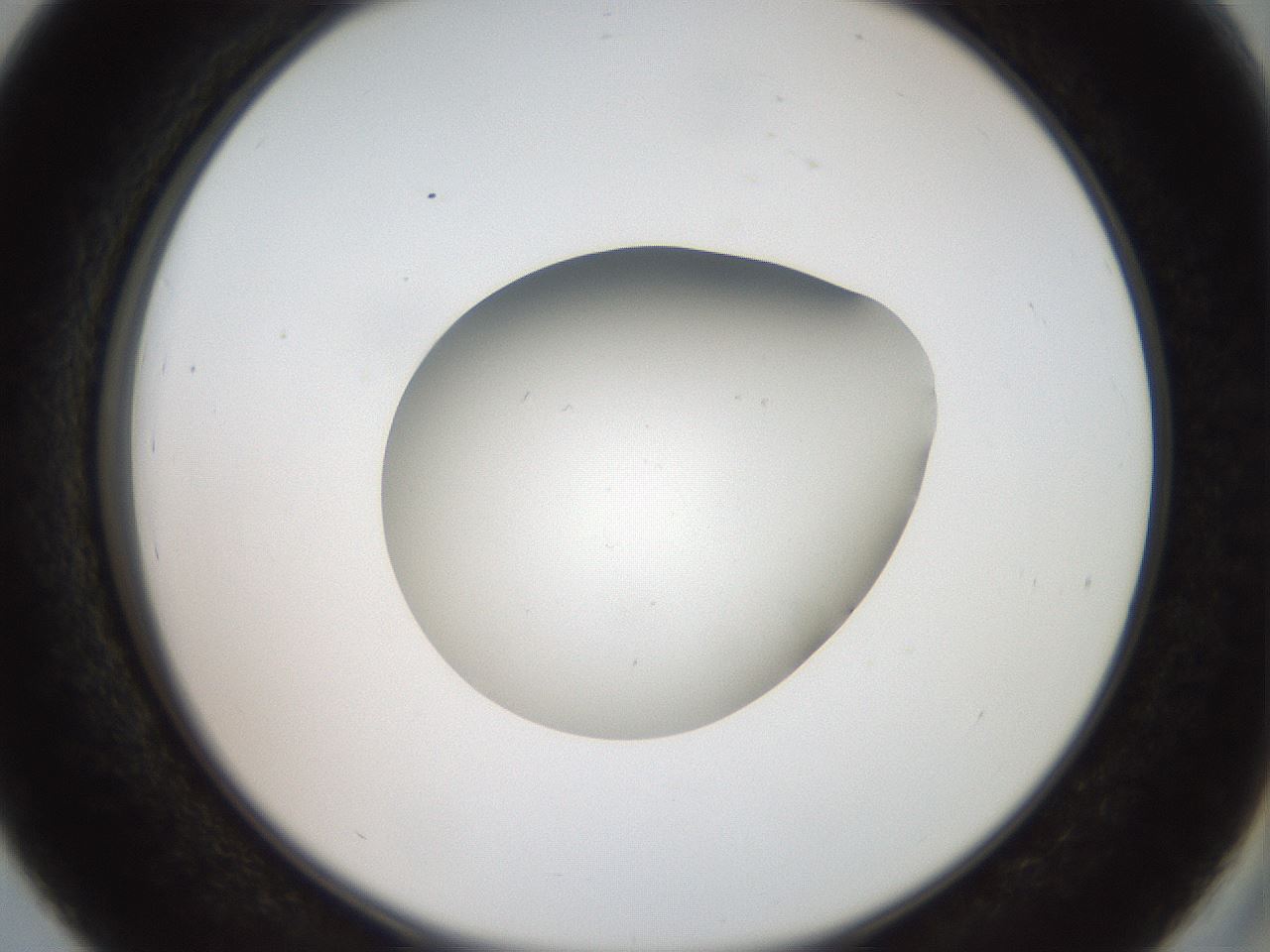 folderID40_plateID2040_batchID8993_wellNum39_profileID1_d2_r137540_ef.jpg