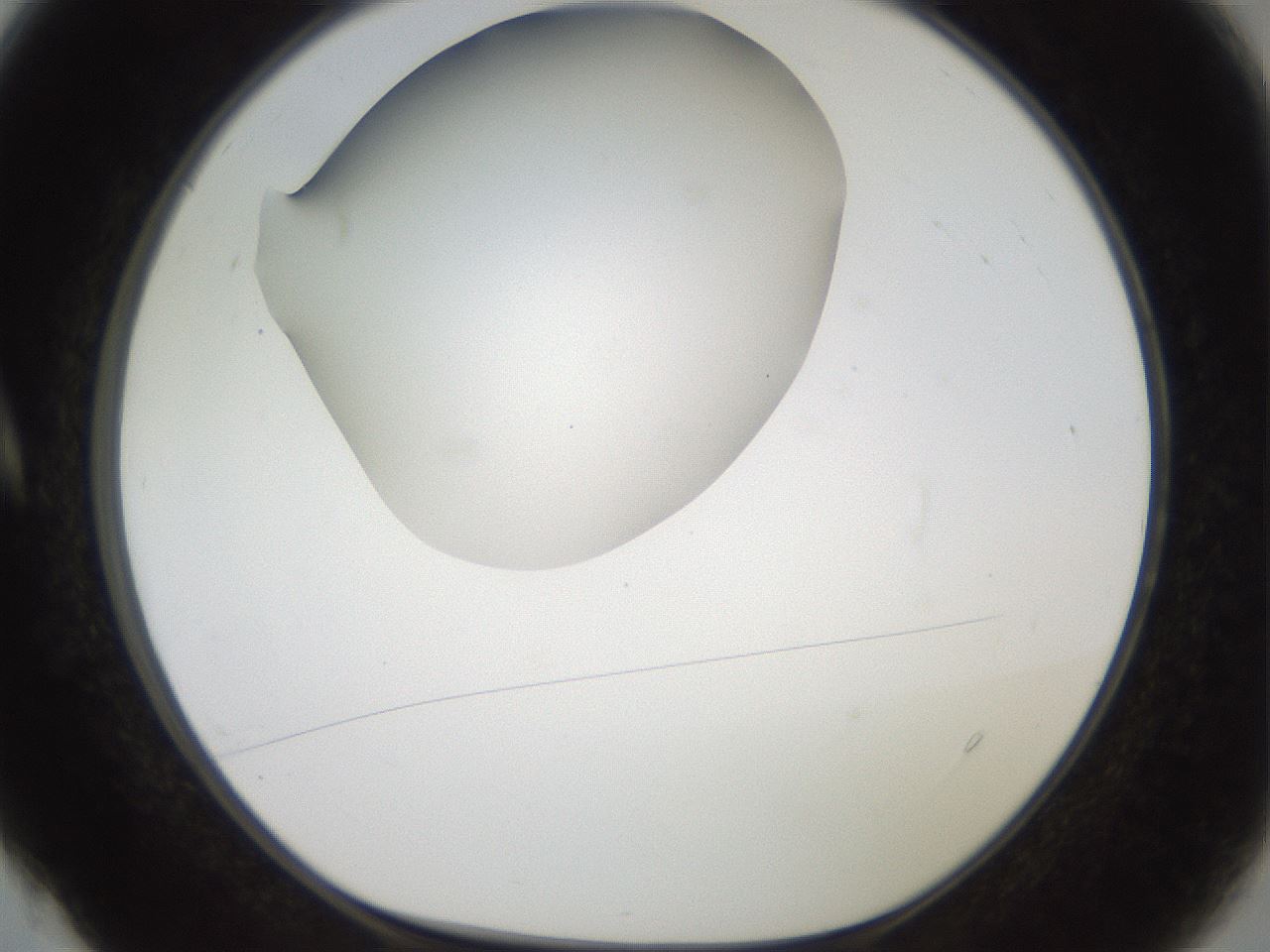 folderID40_plateID2040_batchID8993_wellNum4_profileID1_d1_r137469_ef.jpg
