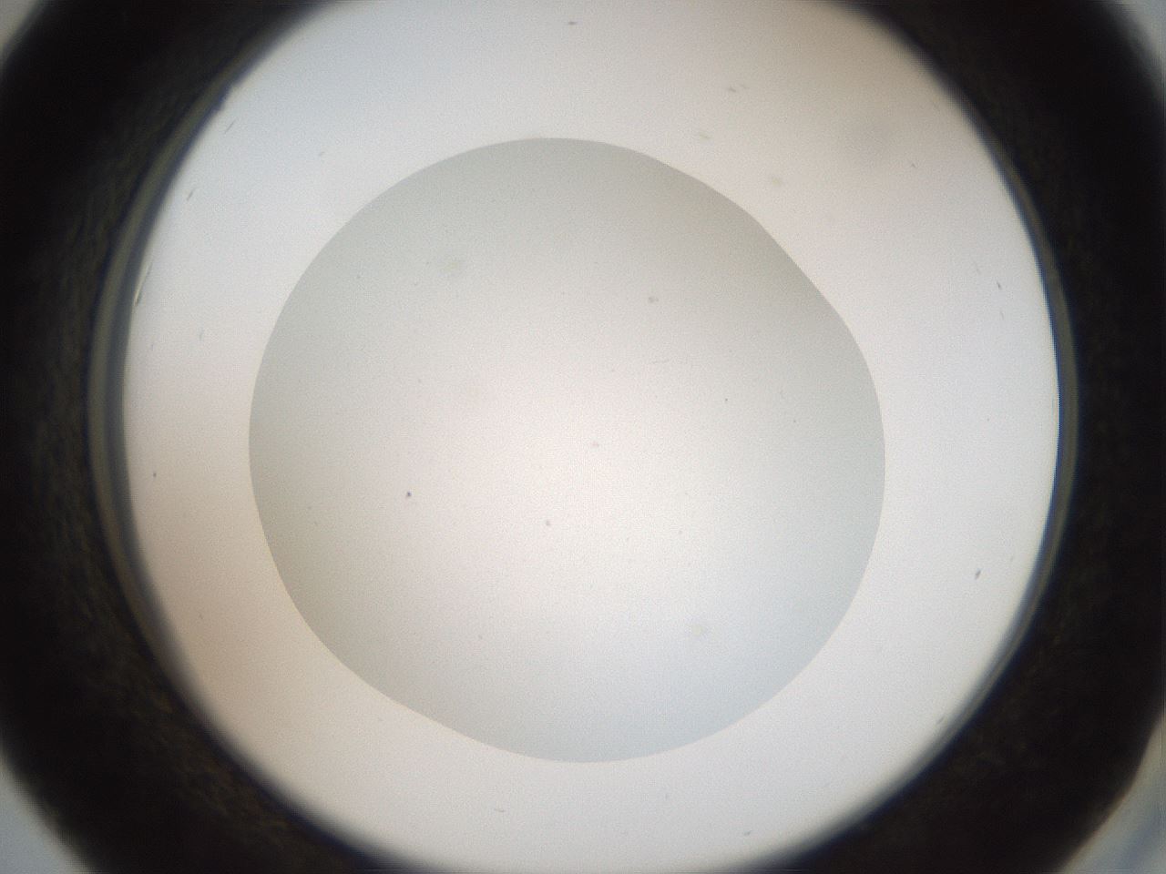 folderID40_plateID2040_batchID8993_wellNum42_profileID1_d2_r137546_ef.jpg