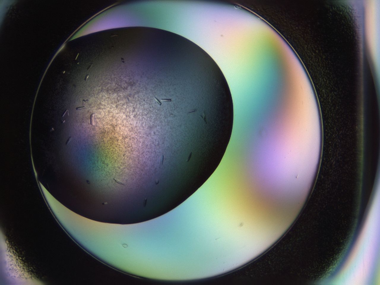 02kw_F3_ImagerDefaults_9.jpg