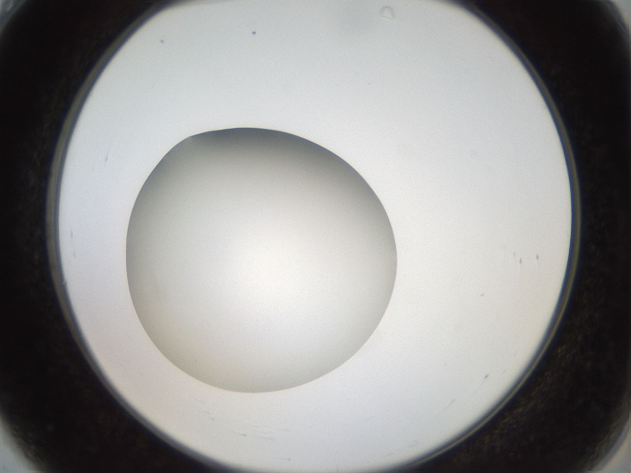 folderID40_plateID2040_batchID8993_wellNum4_profileID1_d2_r137470_ef.jpg