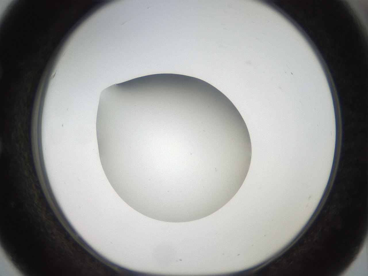 folderID40_plateID2040_batchID8993_wellNum51_profileID1_d1_r137563_ef.jpg