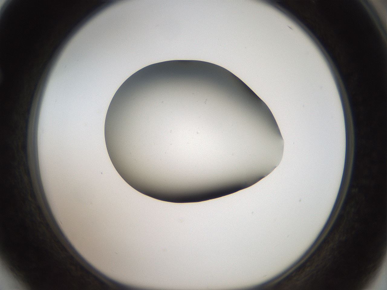 folderID40_plateID2040_batchID8993_wellNum64_profileID1_d1_r137589_ef.jpg