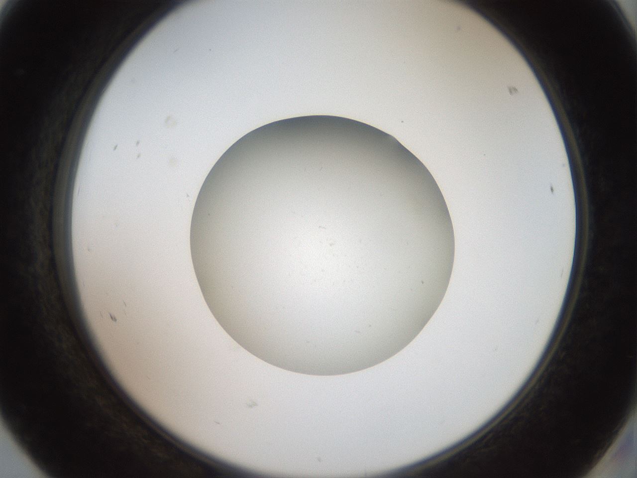 folderID40_plateID2040_batchID8993_wellNum68_profileID1_d2_r137598_ef.jpg