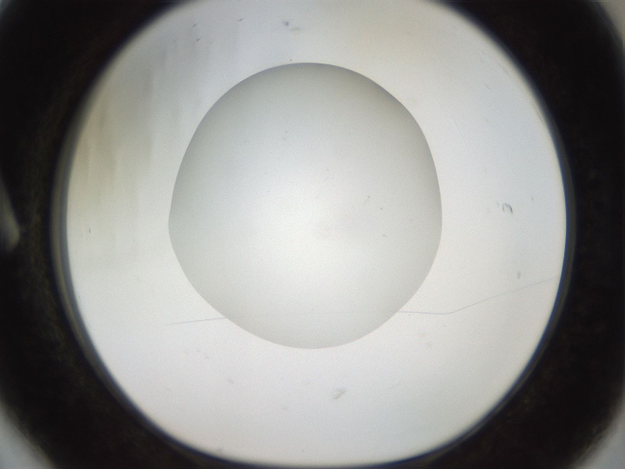 folderID40_plateID2040_batchID8993_wellNum6_profileID1_d1_r137473_ef.jpg