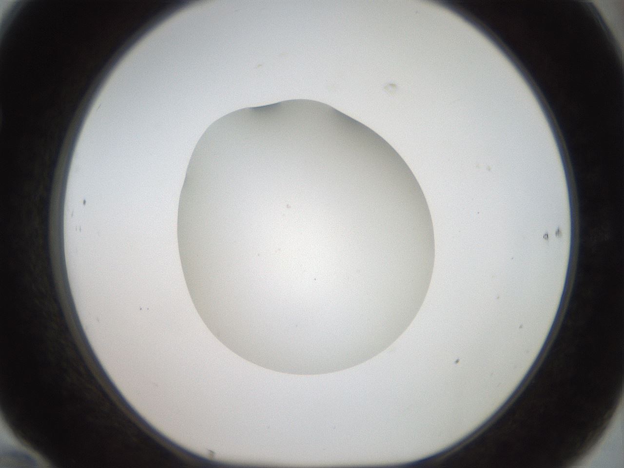 folderID40_plateID2040_batchID8993_wellNum70_profileID1_d1_r137601_ef.jpg
