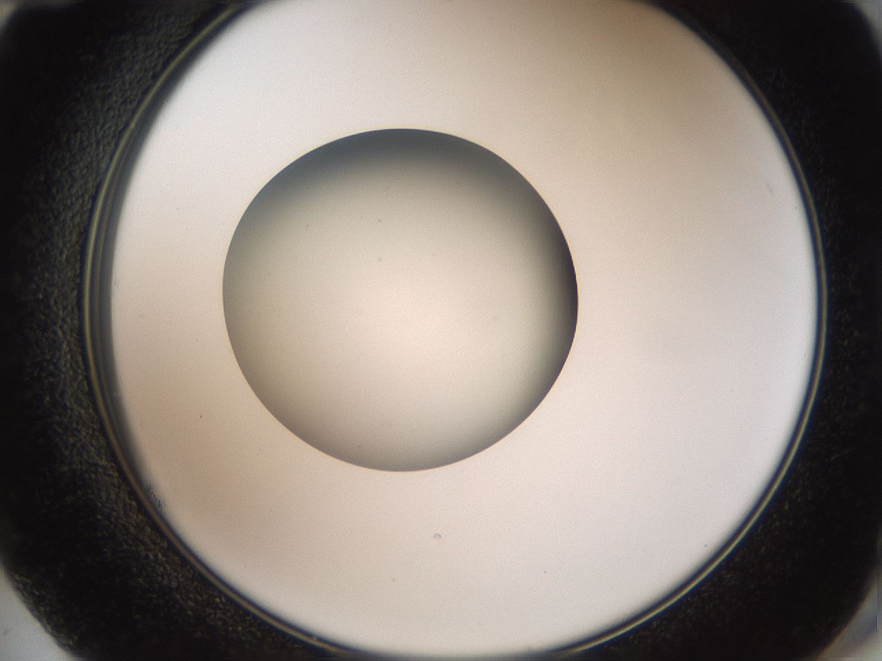 folderID40_plateID2040_batchID8993_wellNum72_profileID1_d2_r137606_ef.jpg