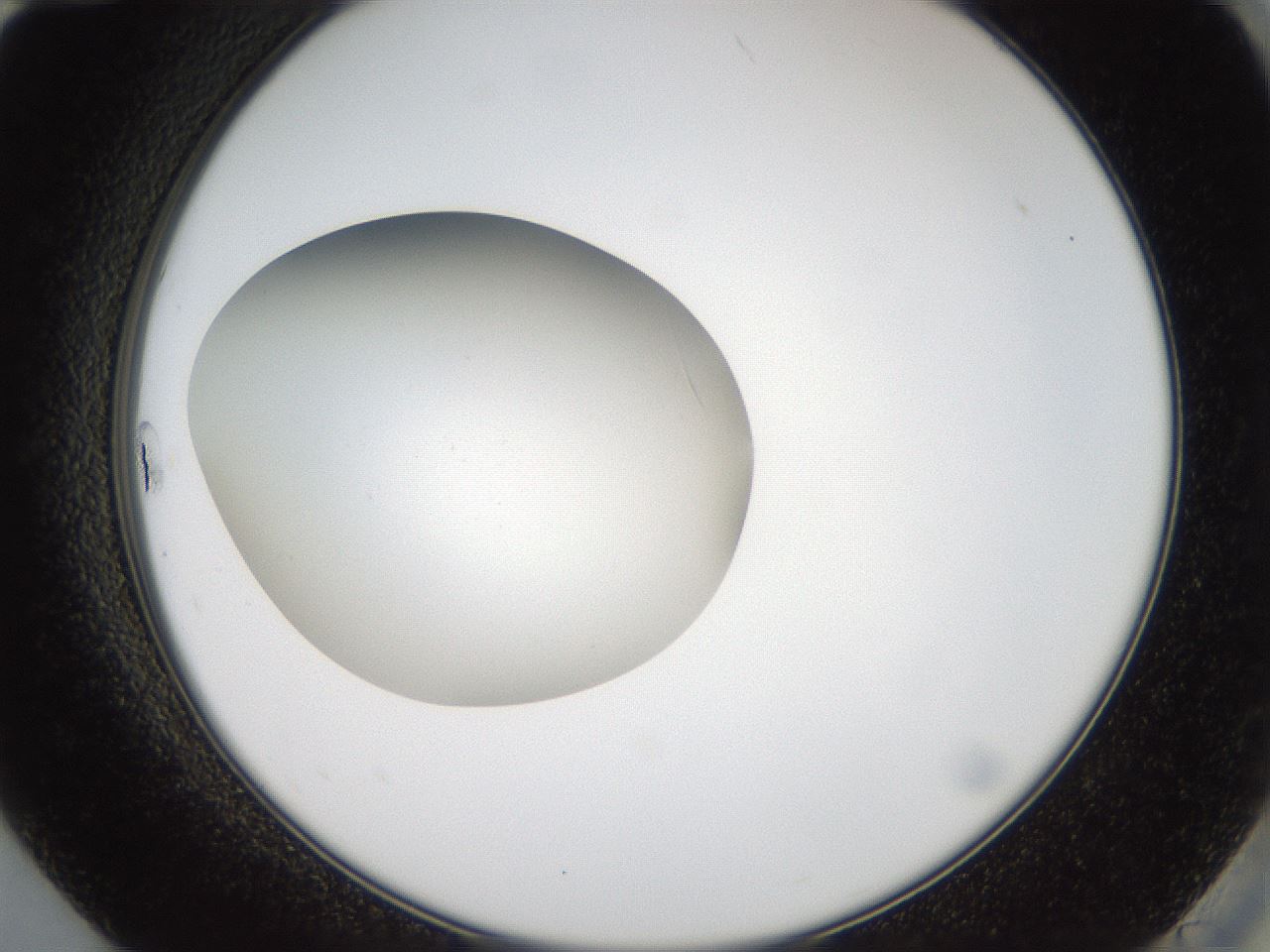 folderID40_plateID2040_batchID8993_wellNum84_profileID1_d2_r137630_ef.jpg