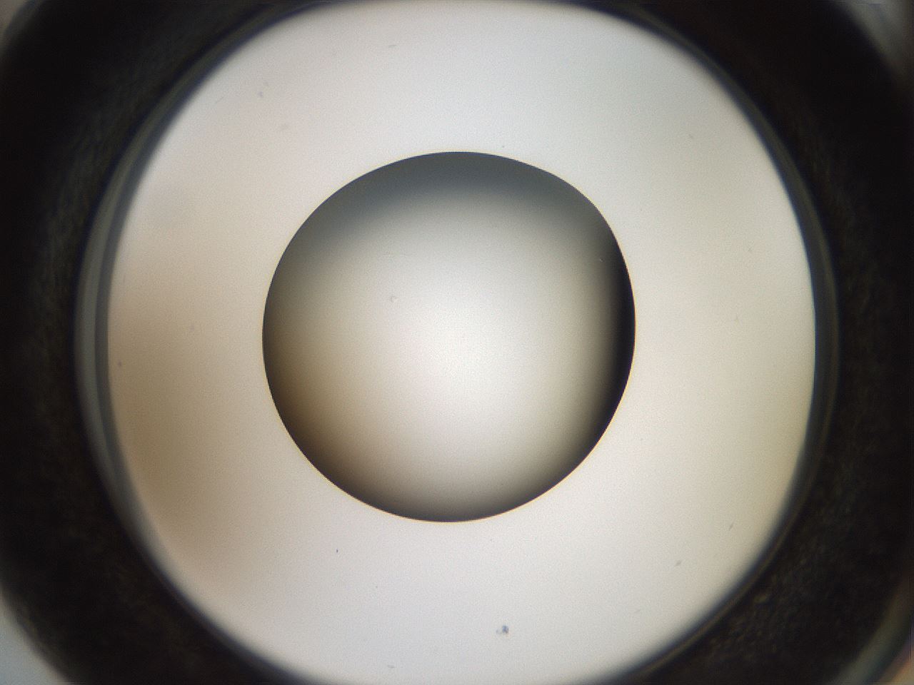 folderID40_plateID2040_batchID8993_wellNum89_profileID1_d2_r137640_ef.jpg