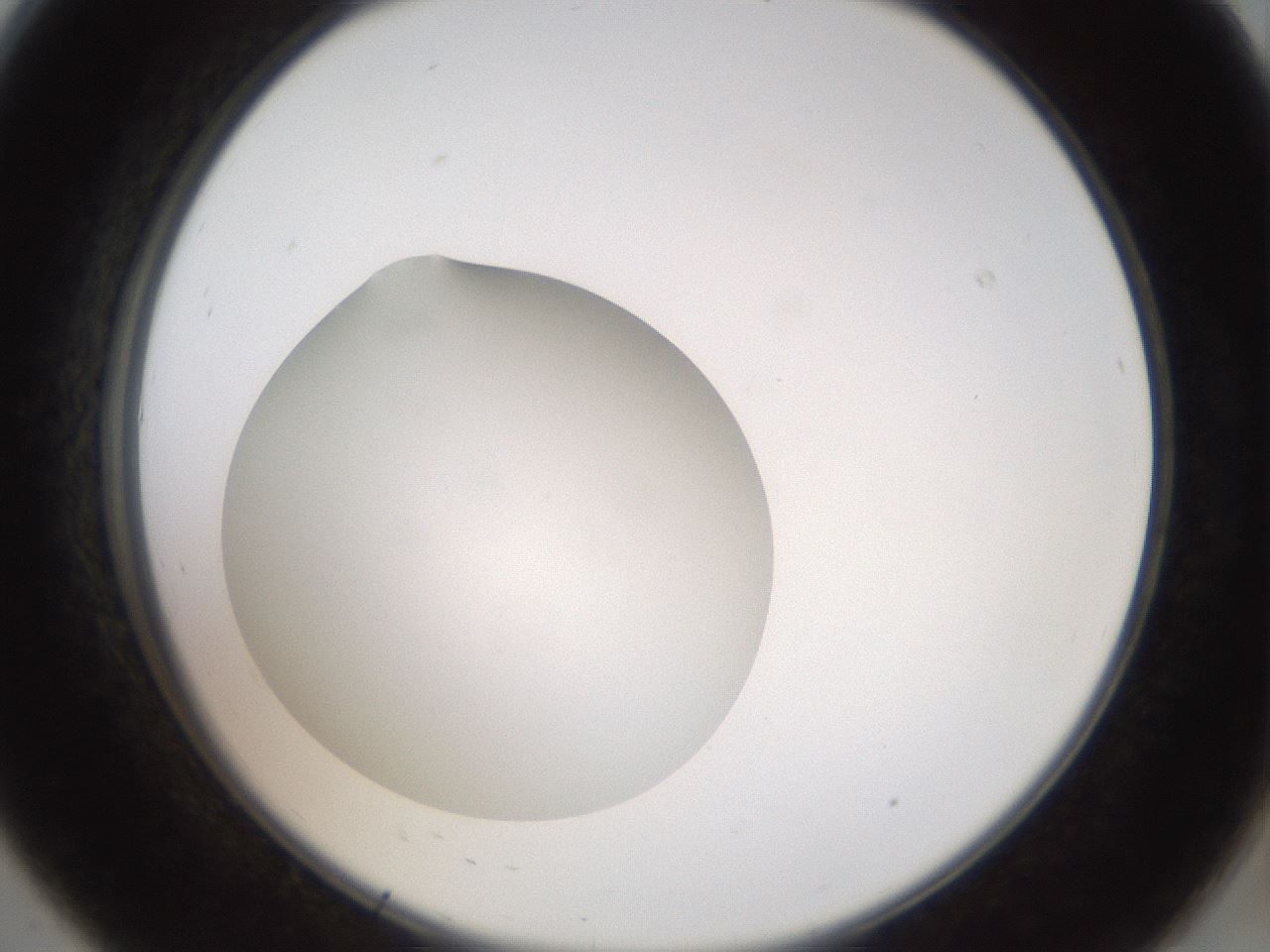 folderID40_plateID2040_batchID8993_wellNum8_profileID1_d2_r137478_ef.jpg