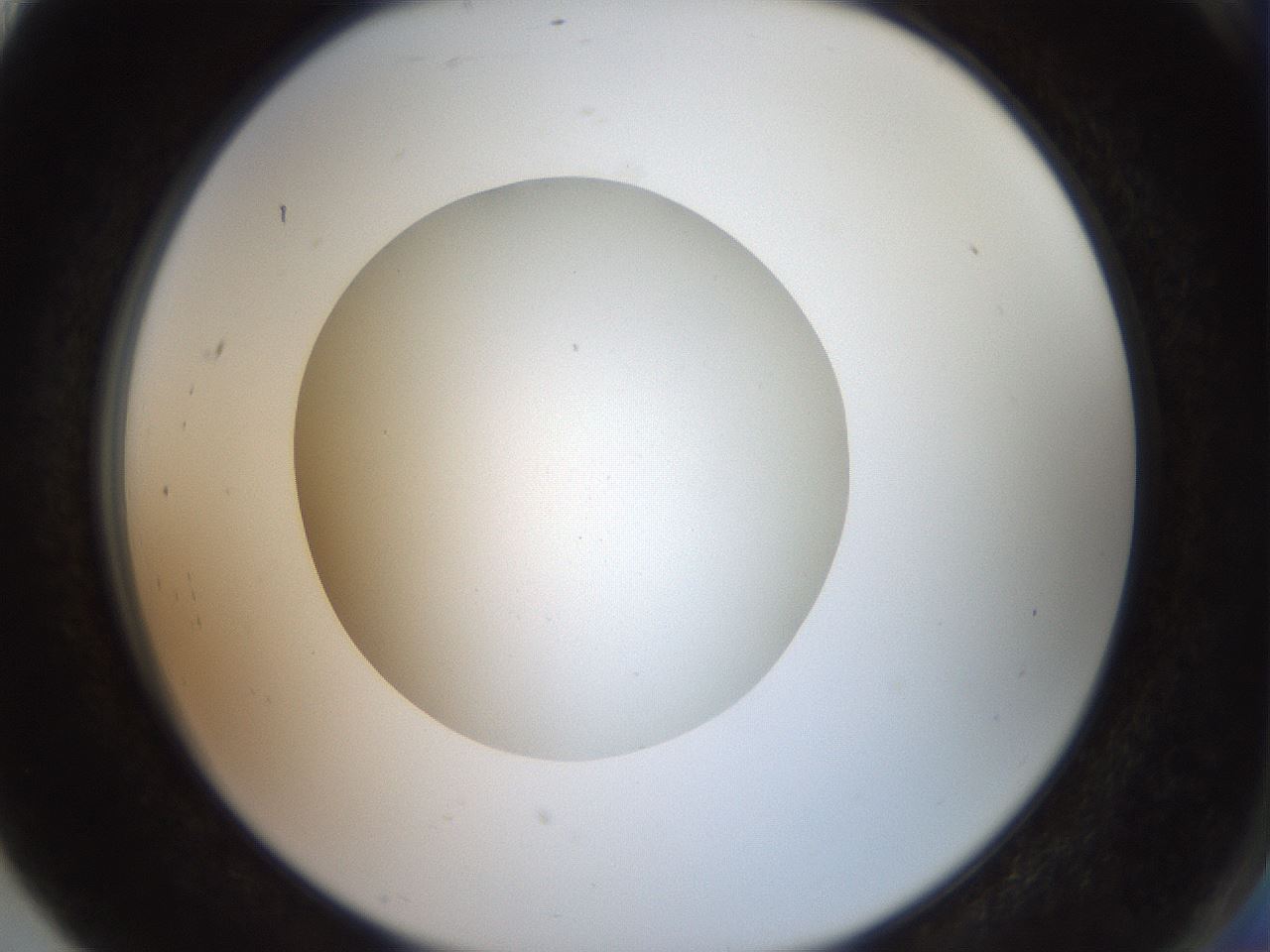 folderID40_plateID2040_batchID8993_wellNum91_profileID1_d2_r137644_ef.jpg